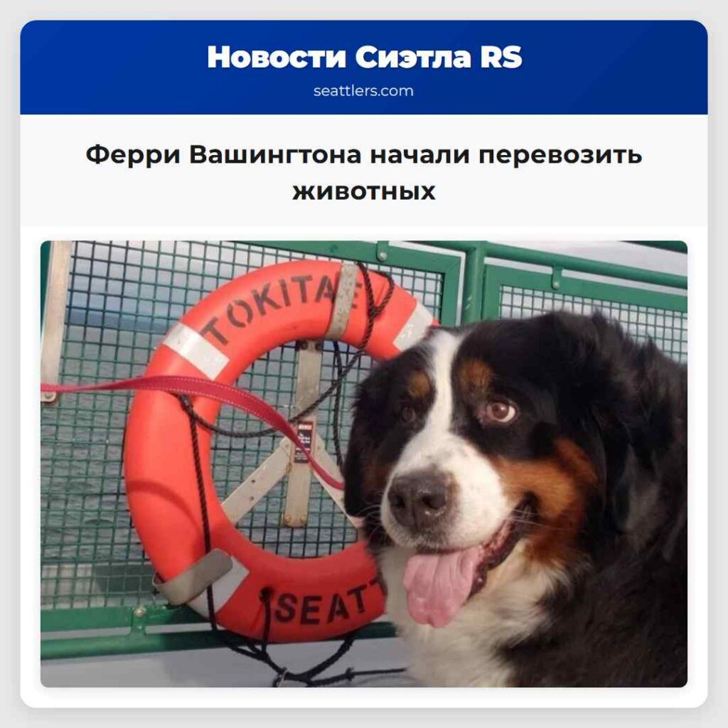 Ферри Вашингтона начали перевозить животных