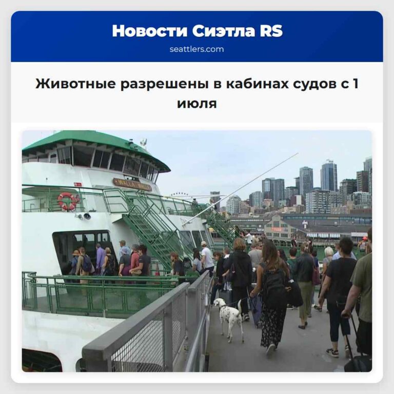 Животные разрешены в кабинах судов с 1 июля