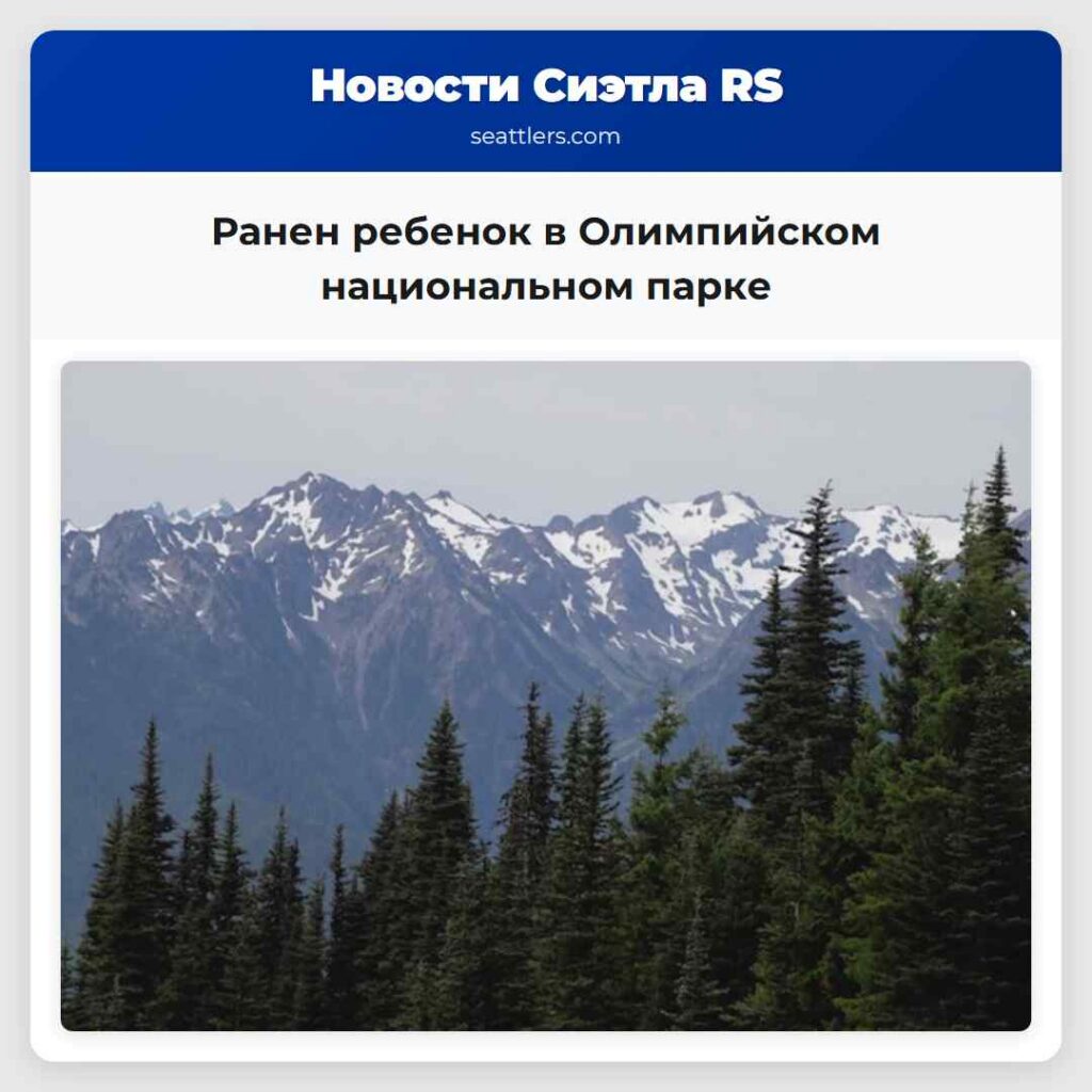 Ранен ребенок в Олимпийском национальном парке