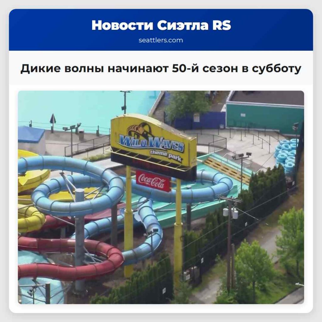 Дикие волны начинают 50-й сезон в субботу