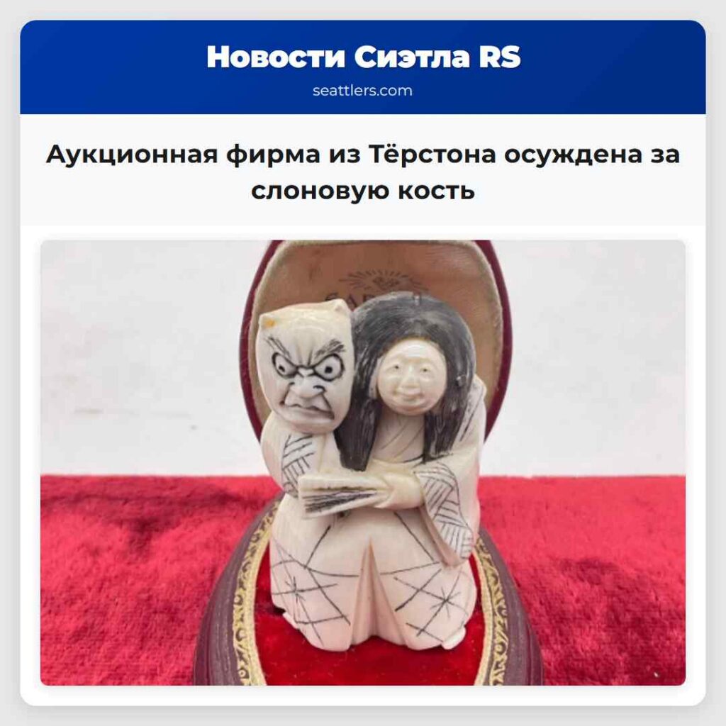 Аукционная фирма из Тёрстона осуждена за слоновую