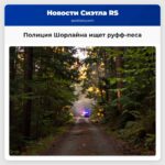 Полиция Шорлайна ищет руфф-песа