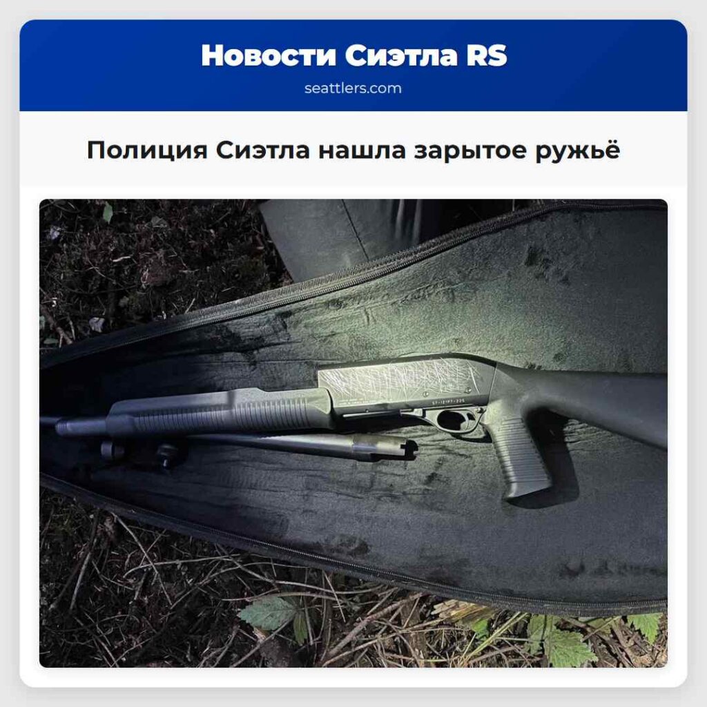 Полиция Сиэтла нашла зарытое ружьё