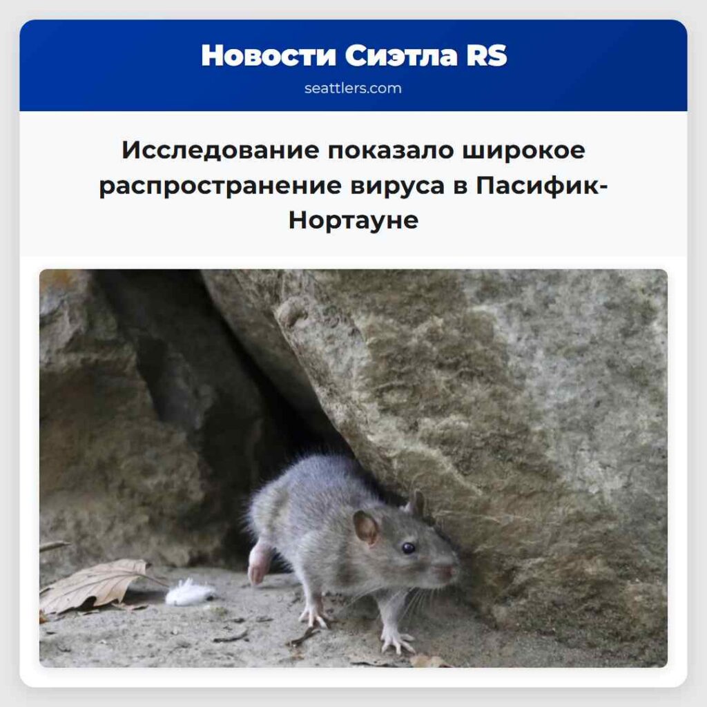 Исследование показало широкое распространение