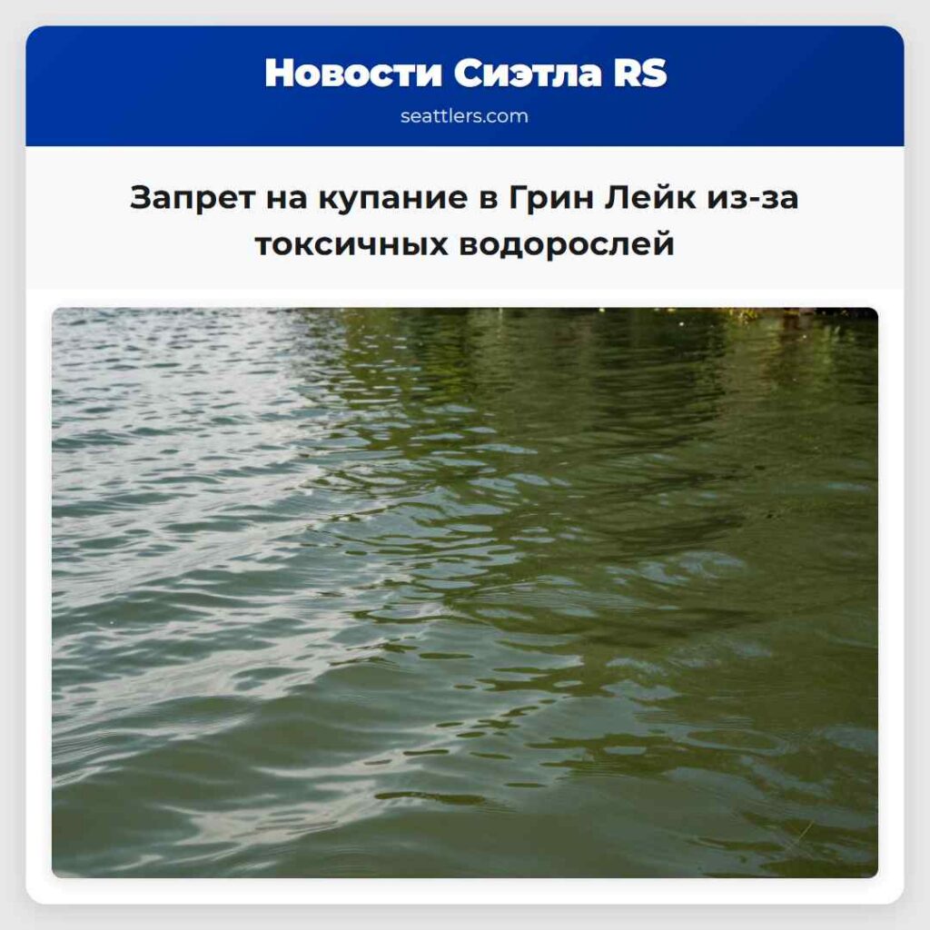 Запрет на купание в Грин Лейк из-за токсичных