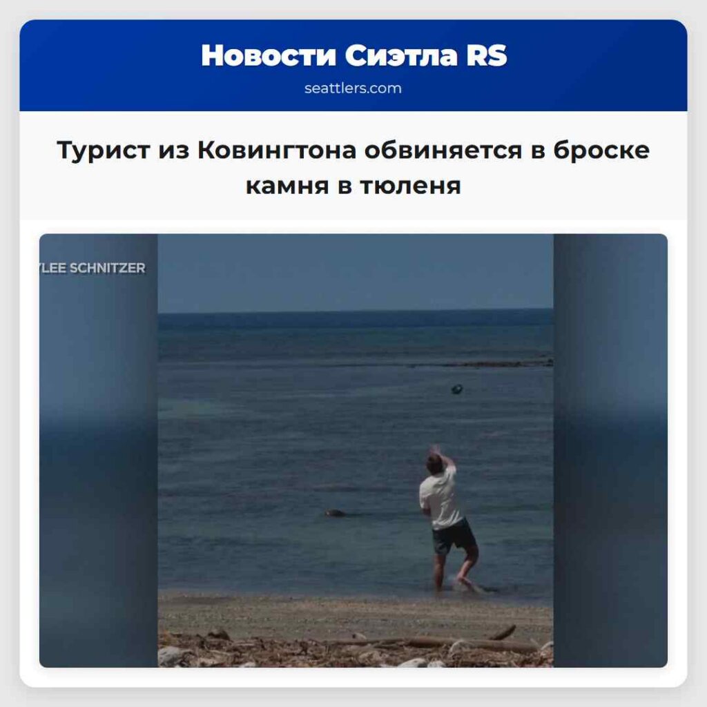 Турист из Ковингтона обвиняется в броске камня в
