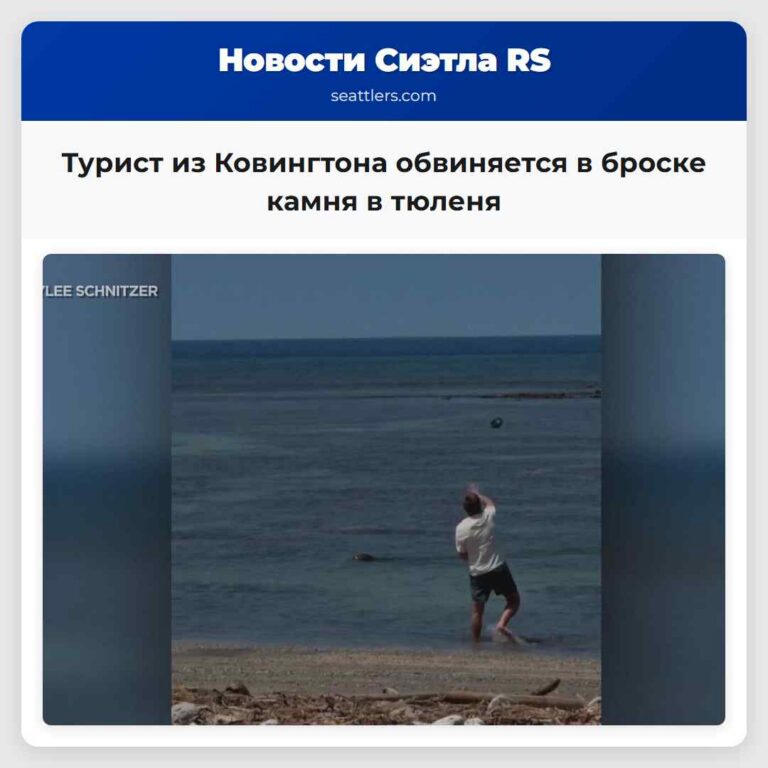 Турист из Ковингтона обвиняется в броске камня в тюленя