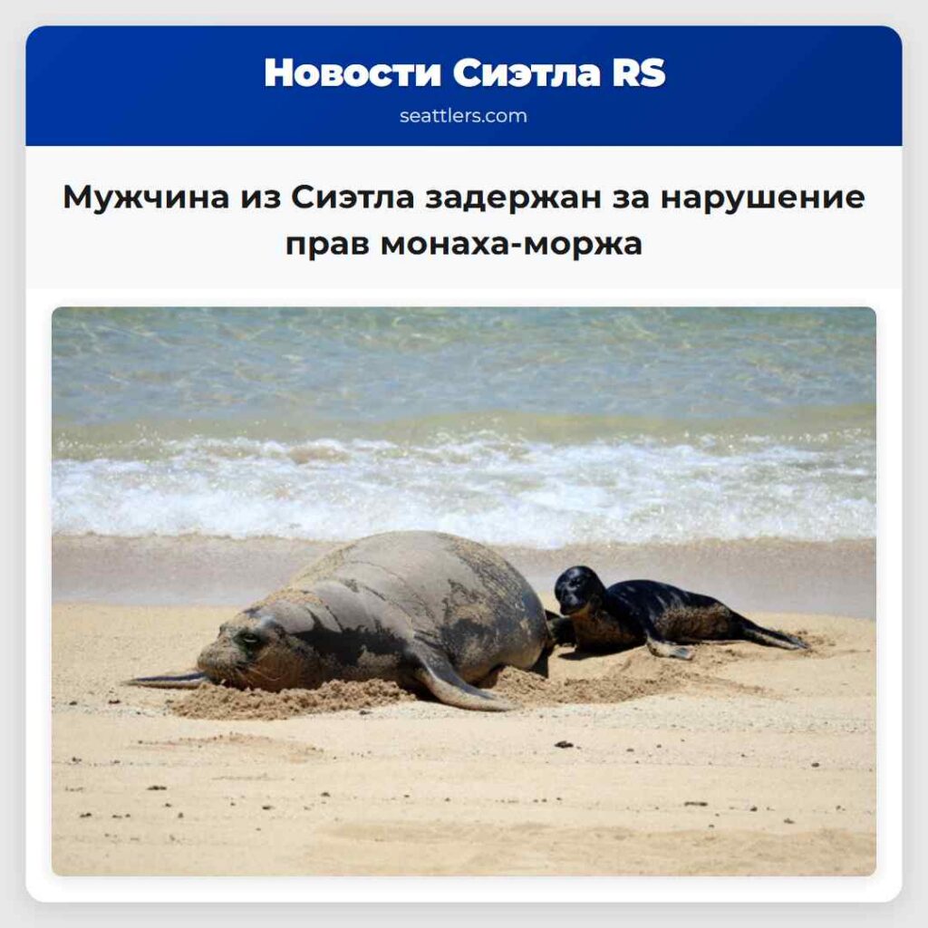Мужчина из Сиэтла задержан за нарушение прав