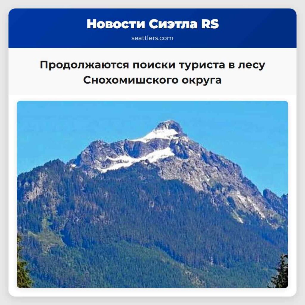Продолжаются поиски туриста в лесу Снохомишского