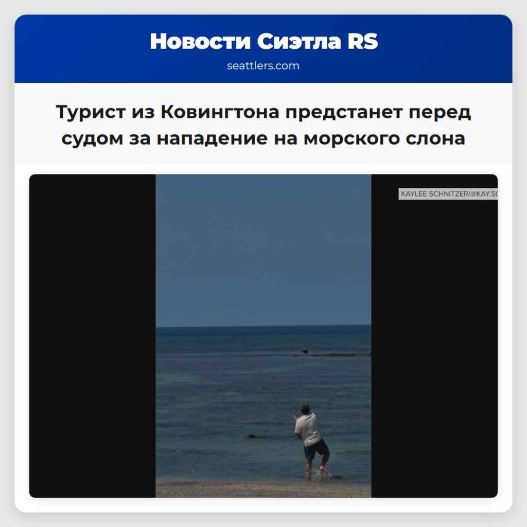 Турист из Ковингтона предстанет перед судом за