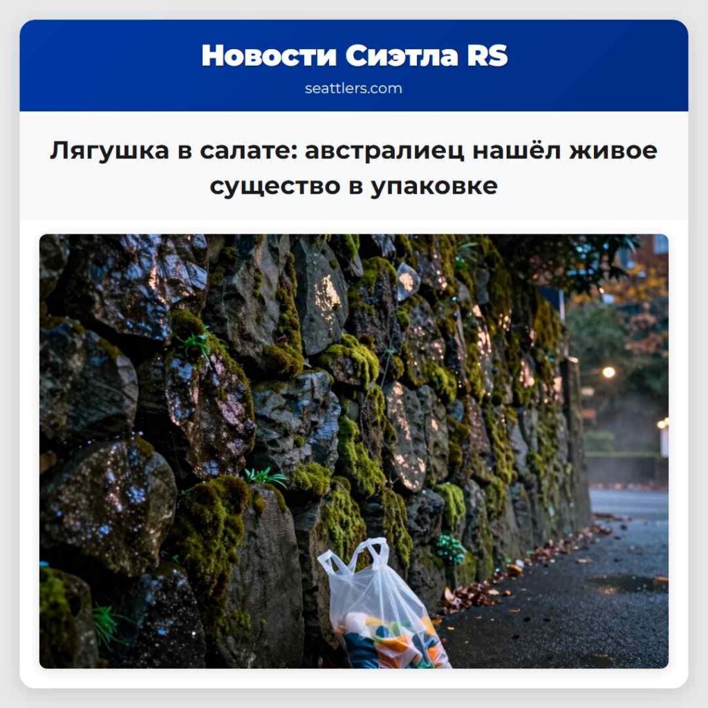 Лягушка в салате: австралиец нашёл живое существо