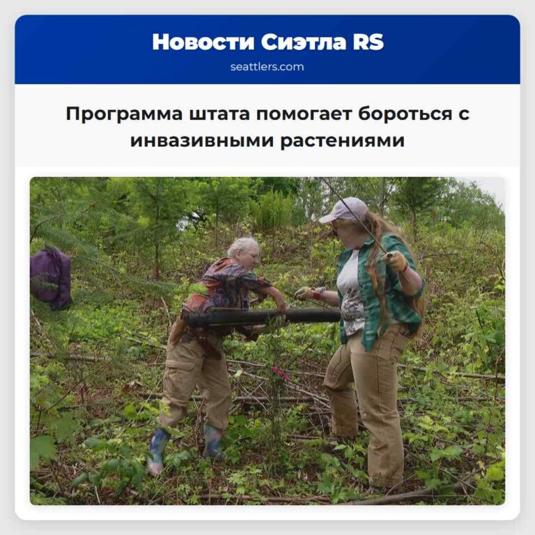 Программа штата помогает бороться с инвазивными растениями
