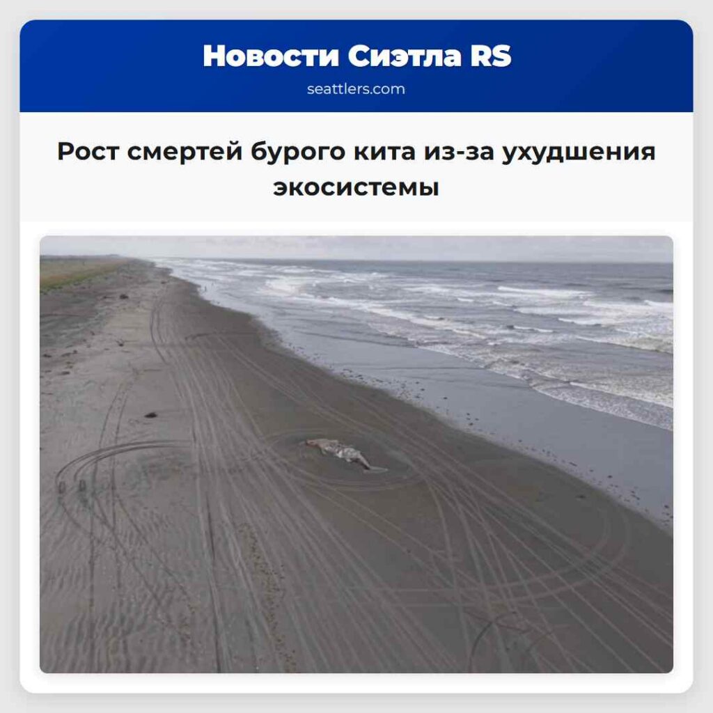 Рост смертей бурого кита из-за ухудшения