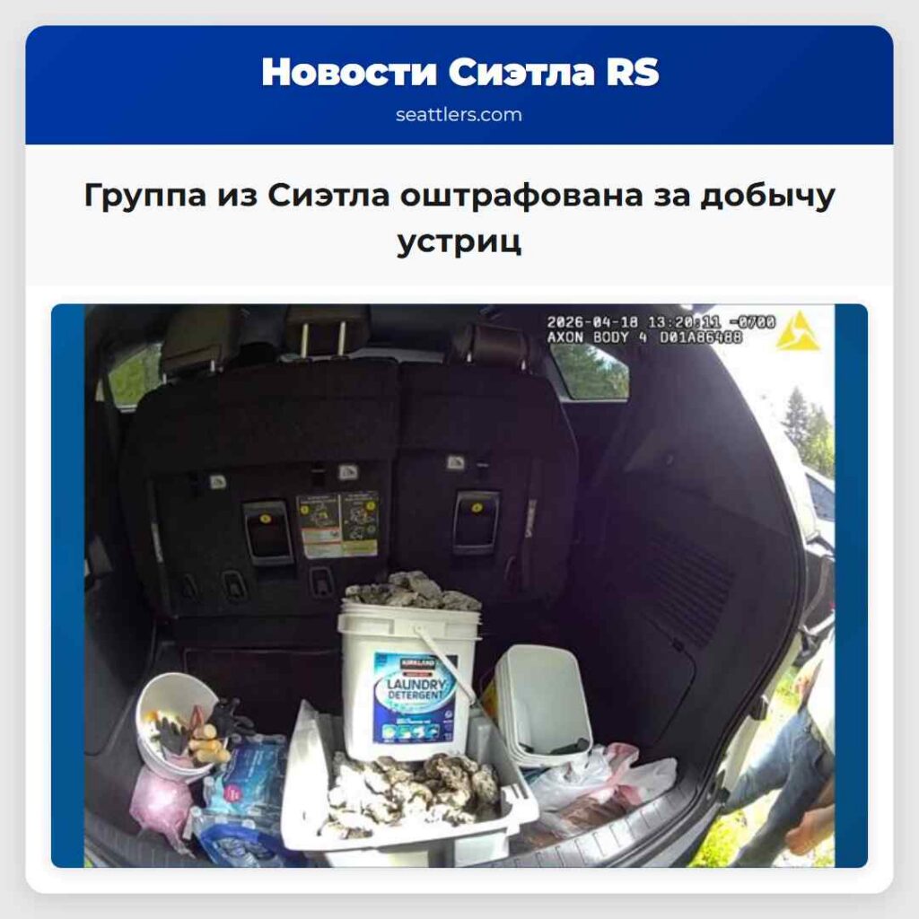 Группа из Сиэтла оштрафована за добычу устриц