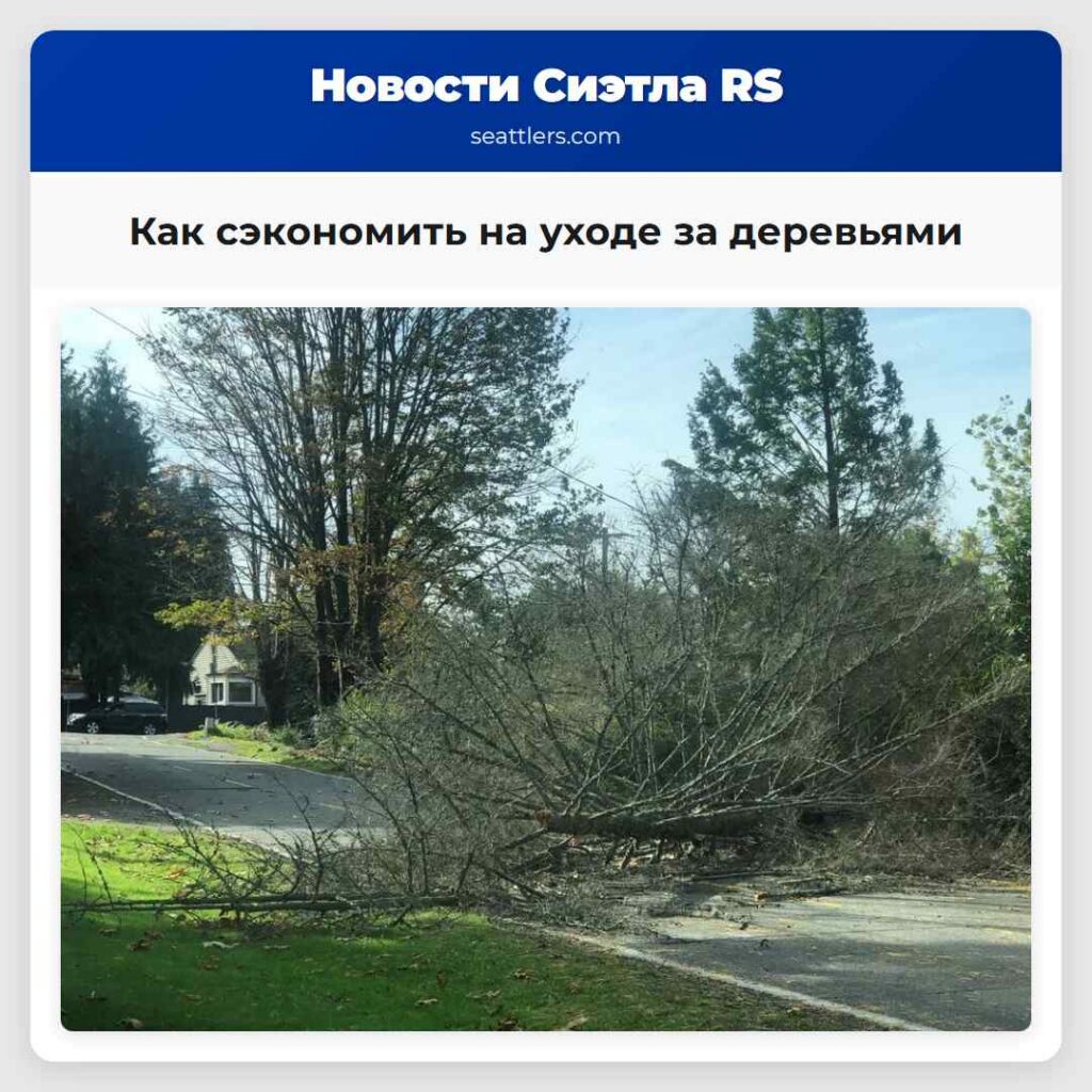 Как сэкономить на уходе за деревьями