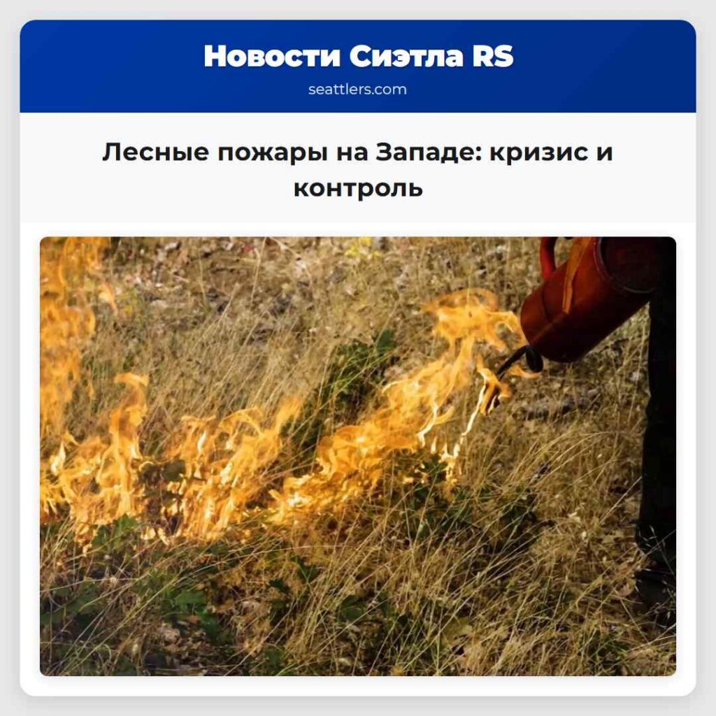 Лесные пожары на Западе: кризис и контроль