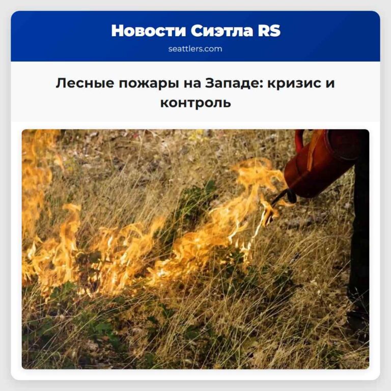 Лесные пожары на Западе кризис и контроль