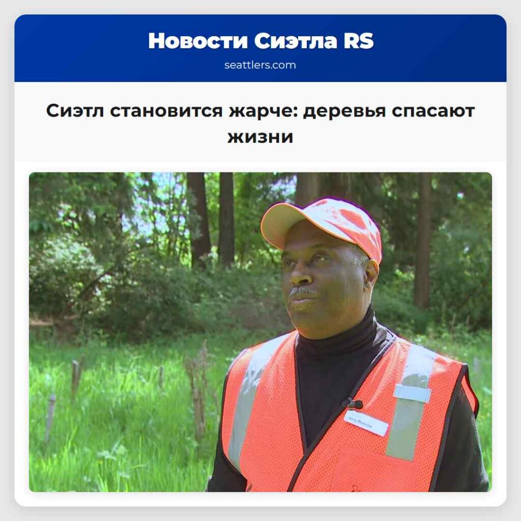 Сиэтл становится жарче: деревья спасают жизни