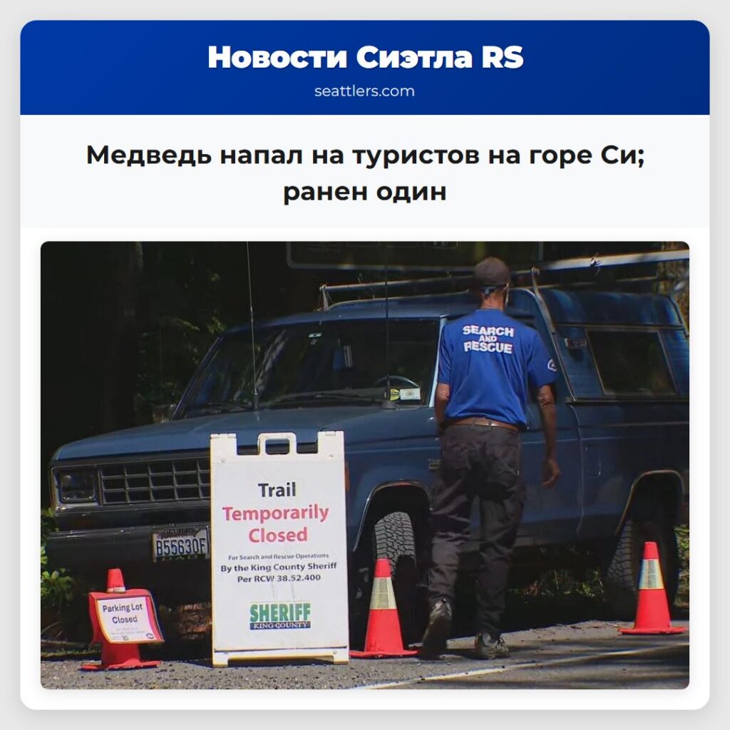 Медведь напал на туристов на горе Си; ранен один