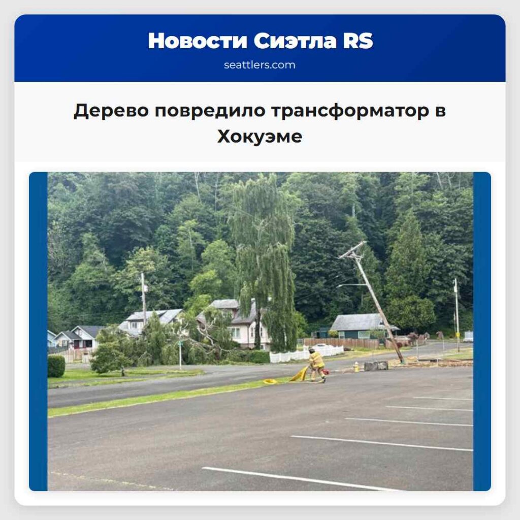 Дерево повредило трансформатор в Хокуэме