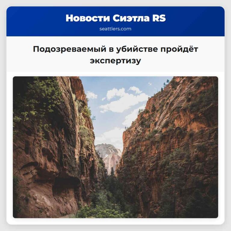 Подозреваемый в убийстве пройдёт экспертизу