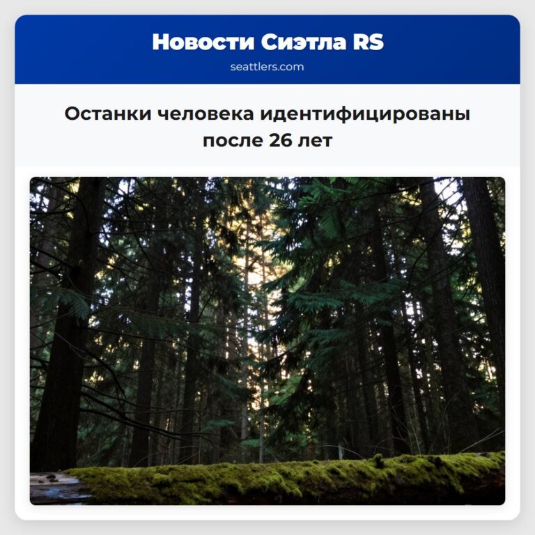 Останки человека идентифицированы после 26 лет