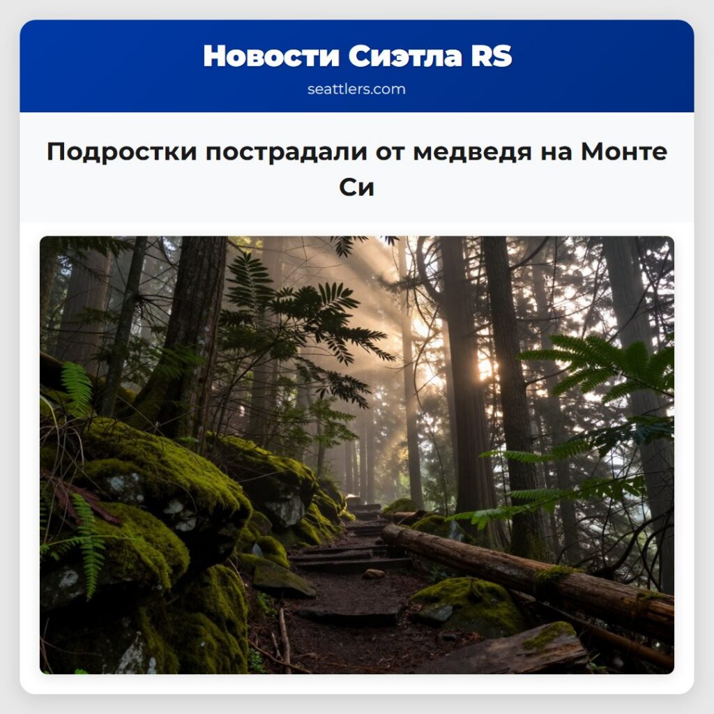 Подростки пострадали от медведя на Монте Си