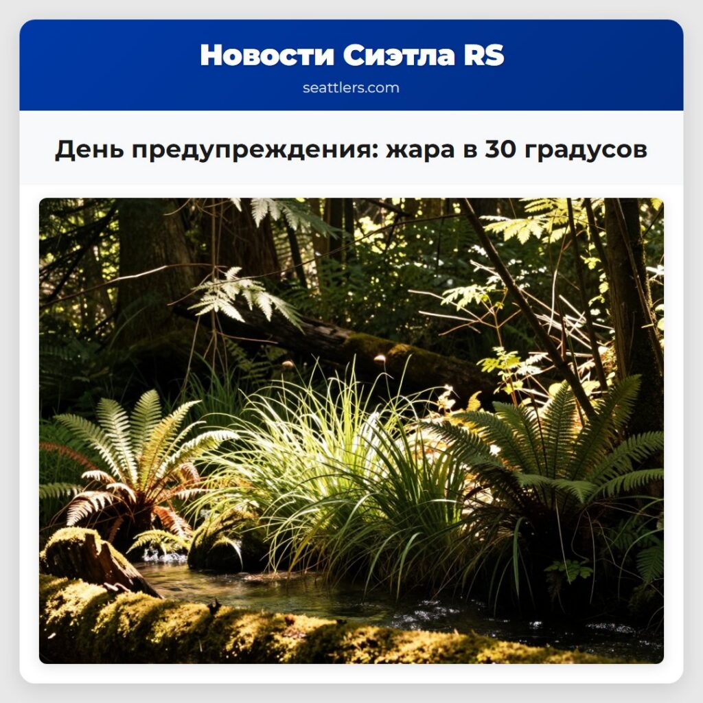 День предупреждения: жара в 30 градусов