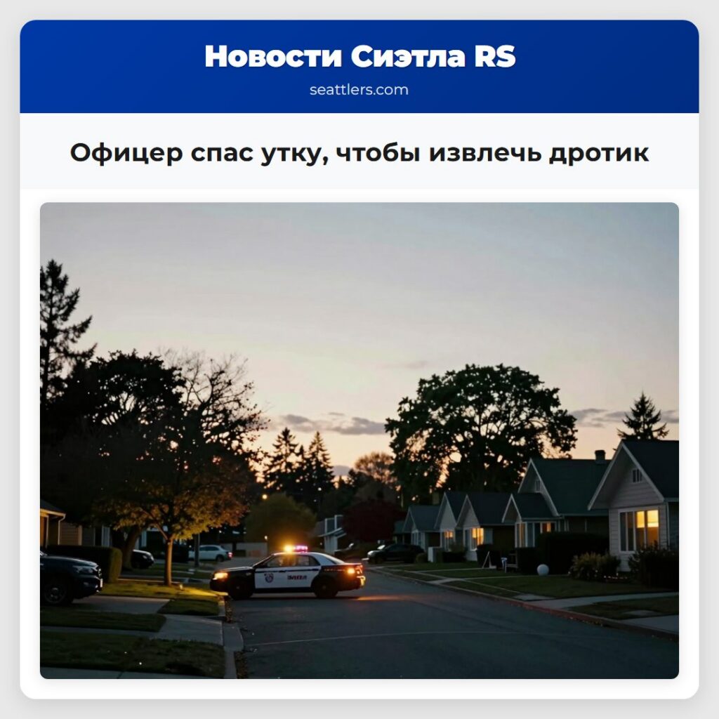 Офицер спас утку, чтобы извлечь дротик