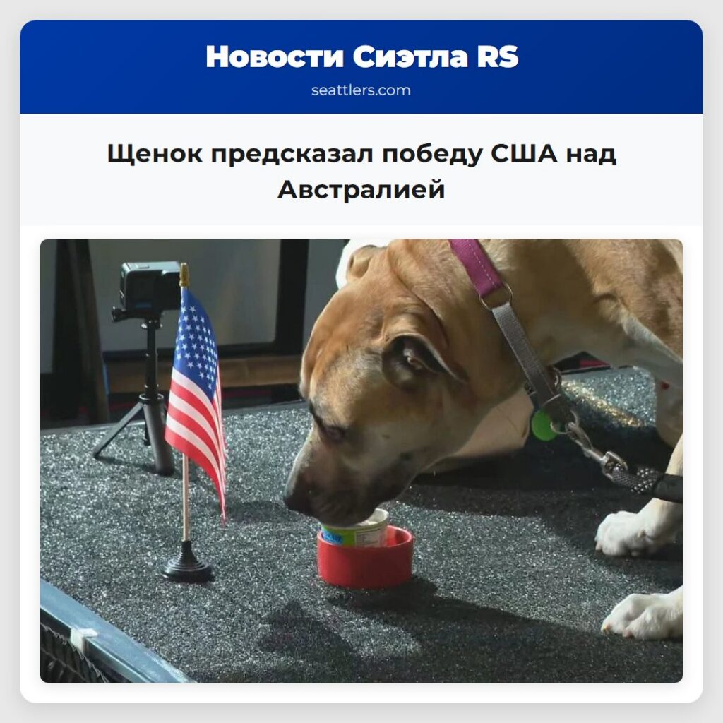 Щенок предсказал победу США над Австралией