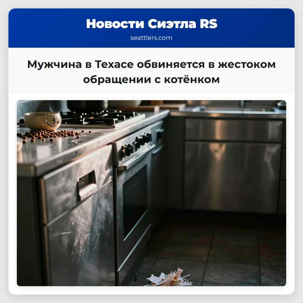 Мужчина в Техасе обвиняется в жестоком обращении