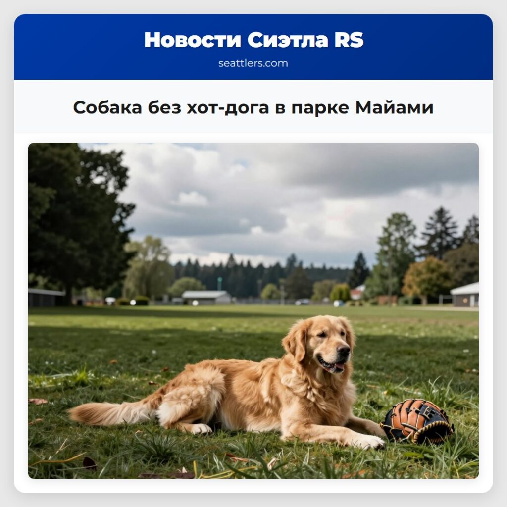 Собака без хот-дога в парке Майами
