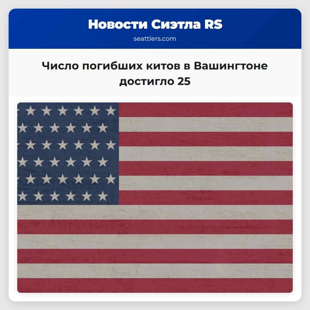 Число погибших китов в Вашингтоне достигло 25