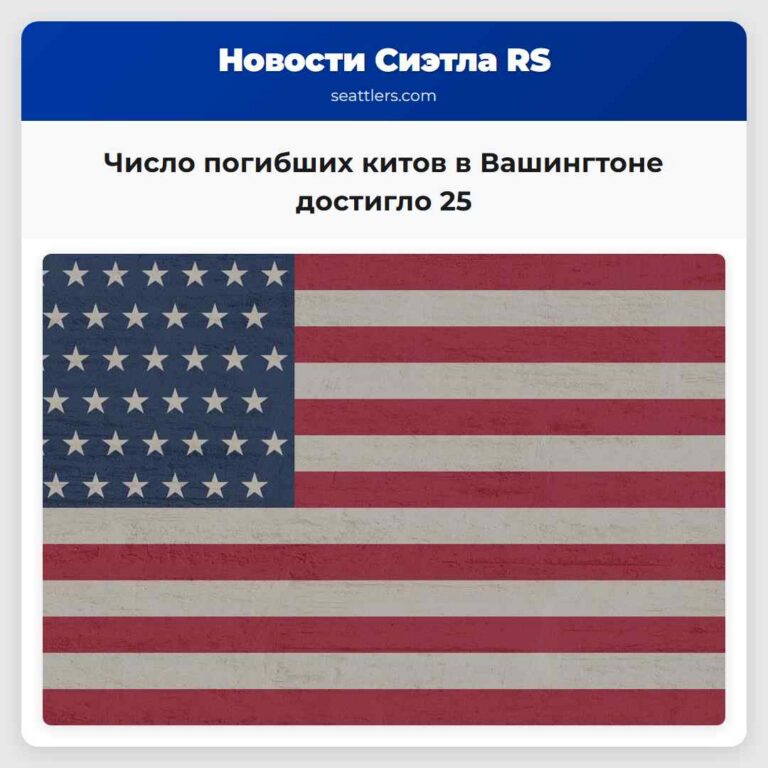 Число погибших китов в Вашингтоне достигло 25