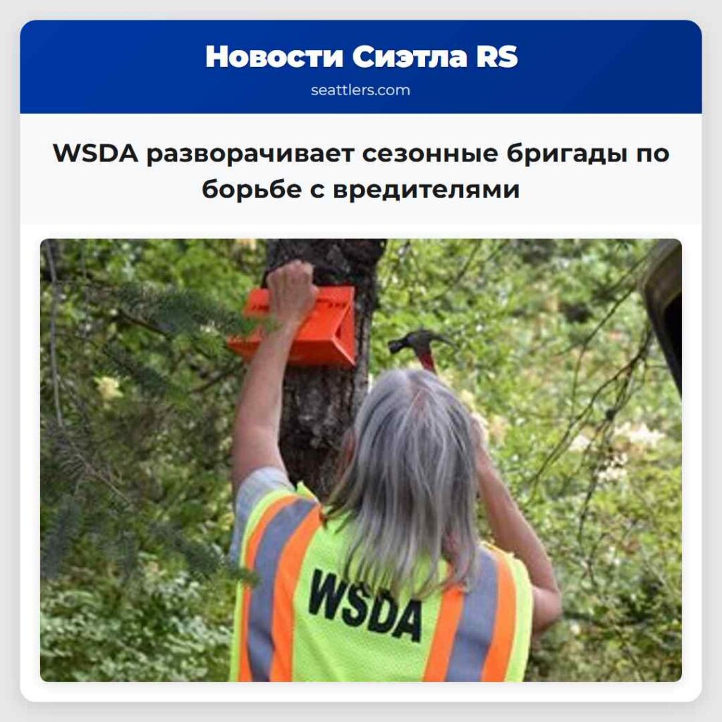 WSDA разворачивает сезонные бригады по борьбе с