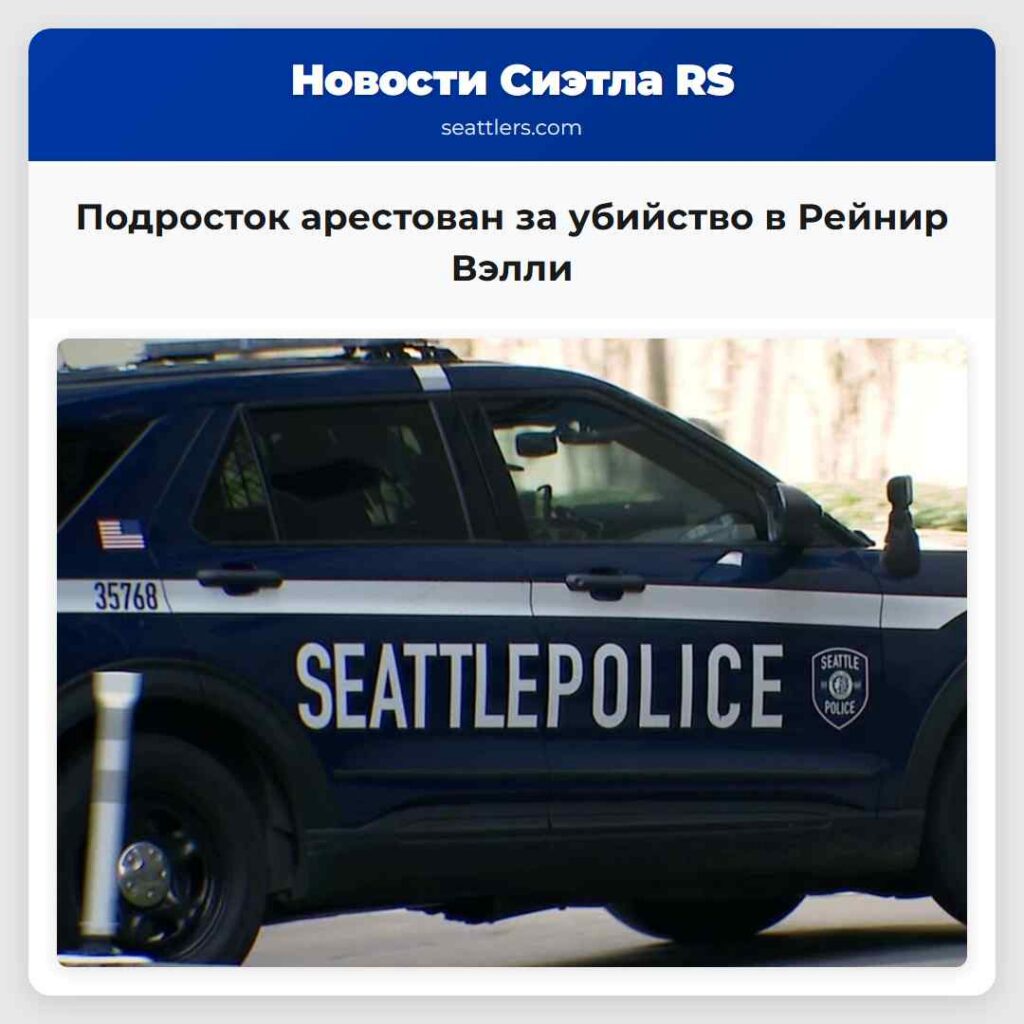 Подросток арестован за убийство в Рейнир Вэлли
