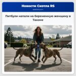 Питбули напали на беременную женщину в Такоме