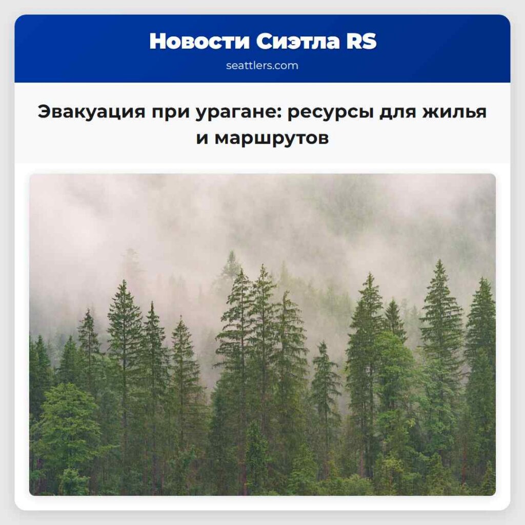 Эвакуация при урагане: ресурсы для жилья и