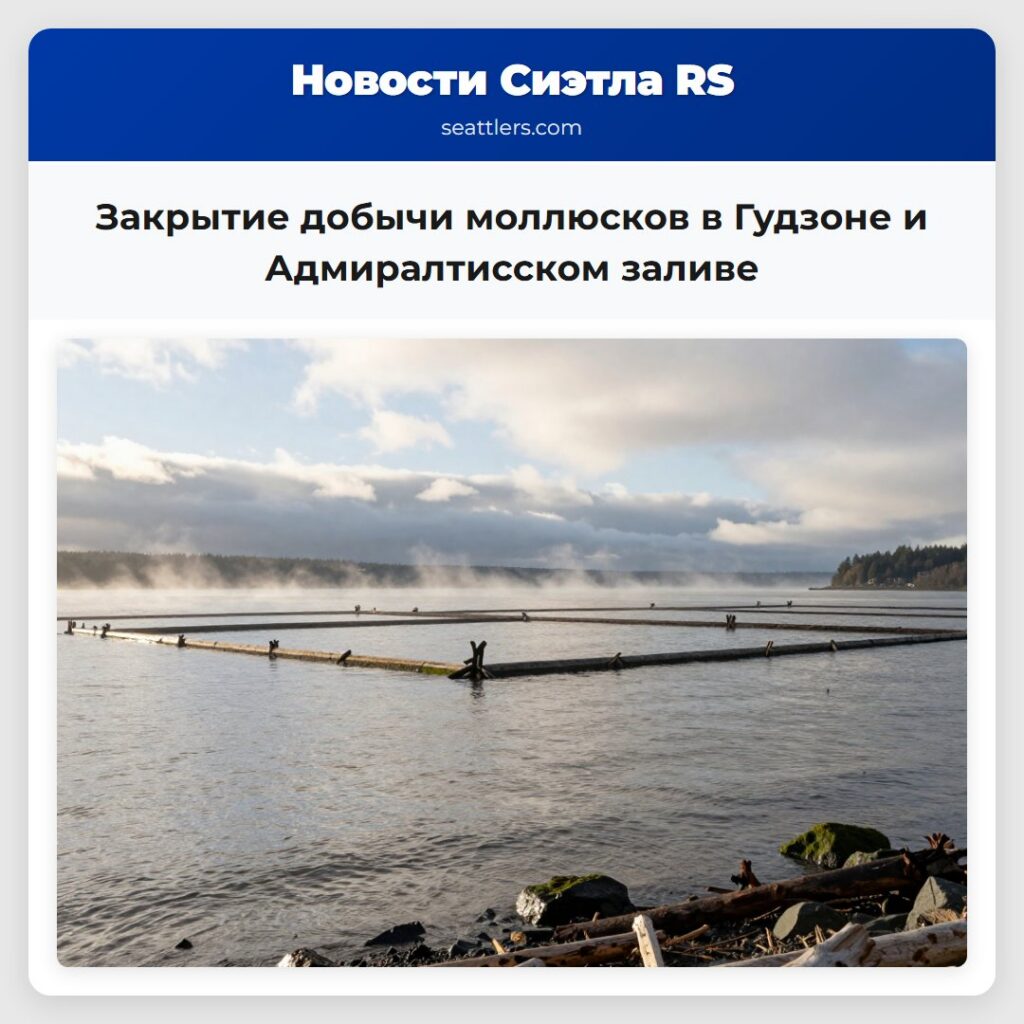 Закрытие добычи моллюсков в Гудзоне и