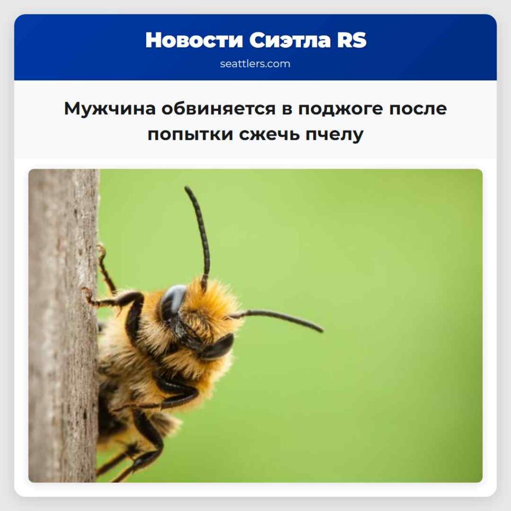 Мужчина обвиняется в поджоге после попытки сжечь