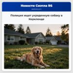 Полиция ищет украденную собаку в Керкленде