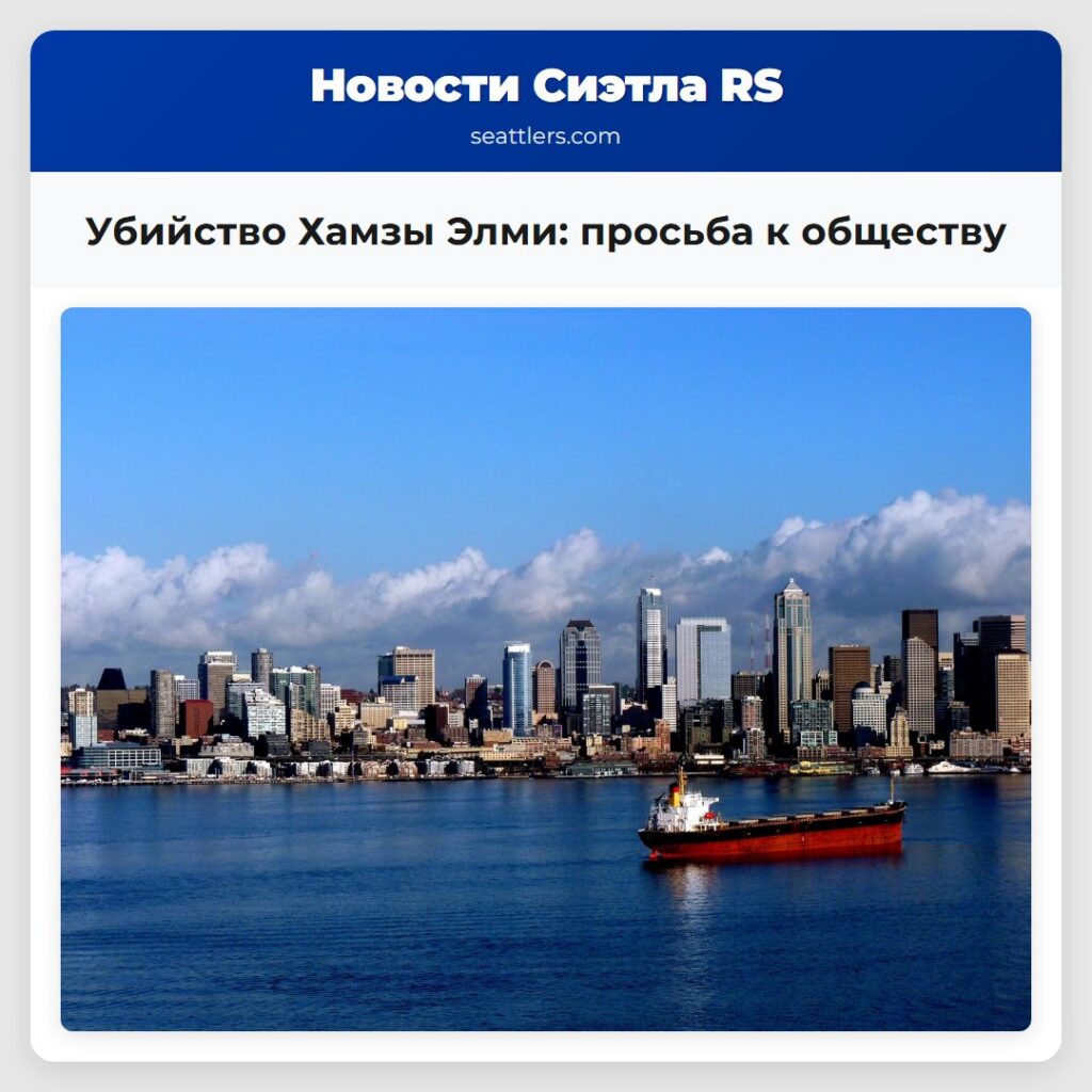 Убийство Хамзы Элми: просьба к обществу