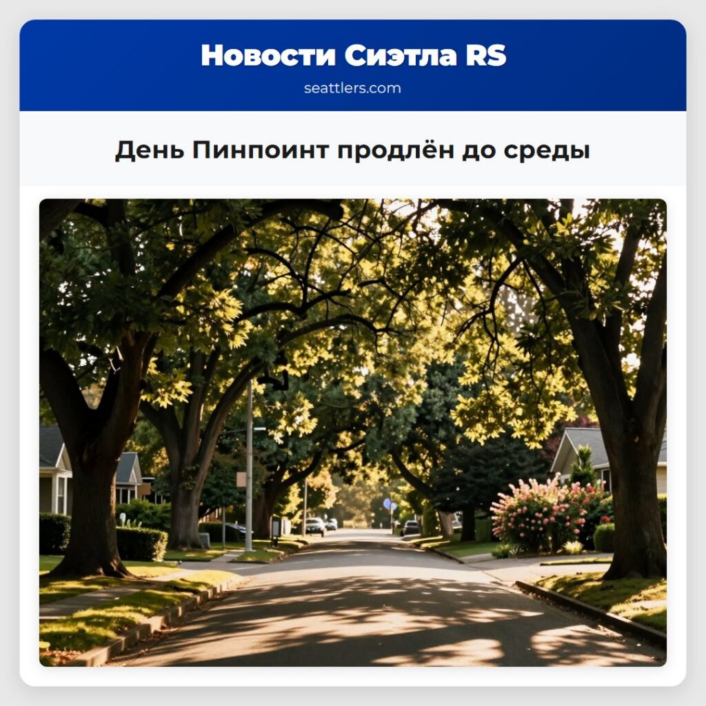 День Пинпоинт продлён до среды