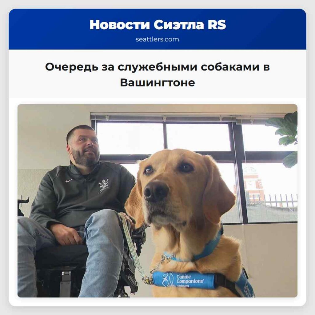 Очередь за служебными собаками в Вашингтоне