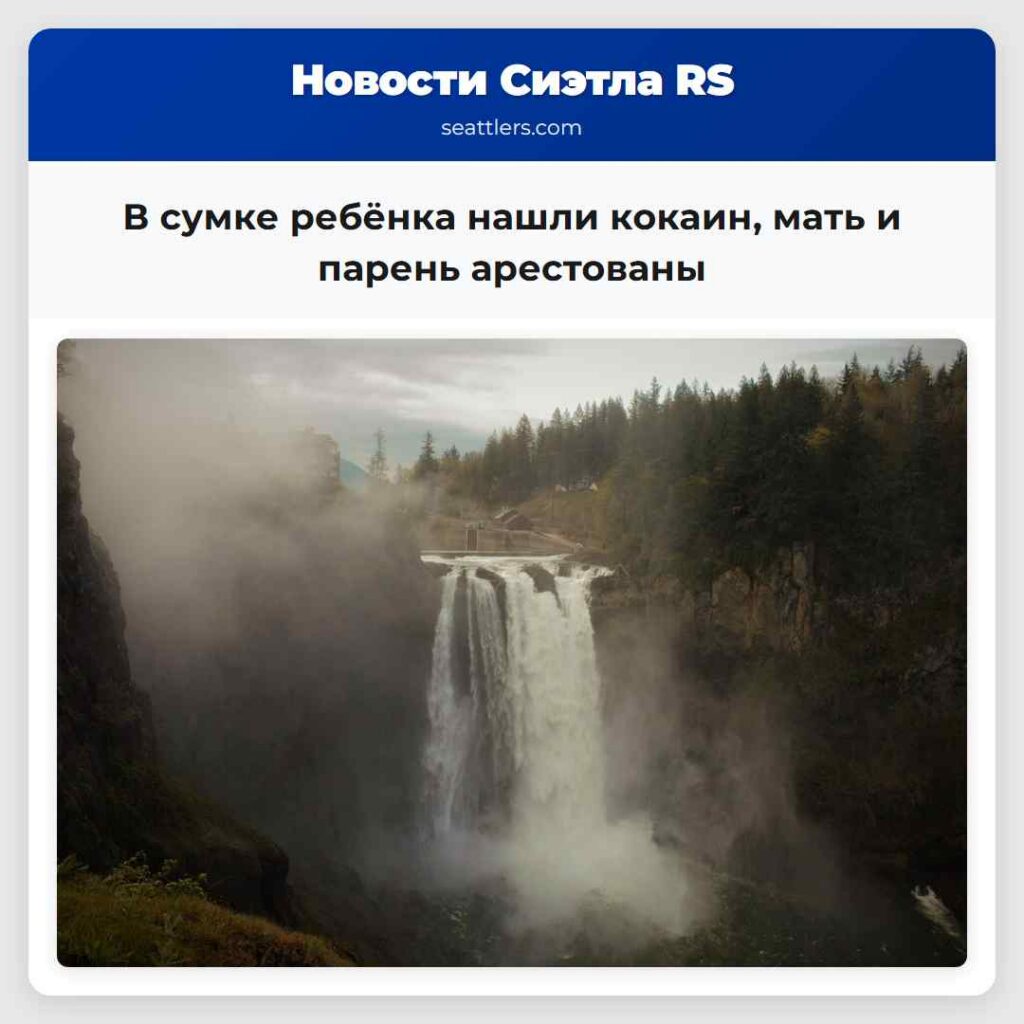 В сумке ребёнка нашли кокаин, мать и парень