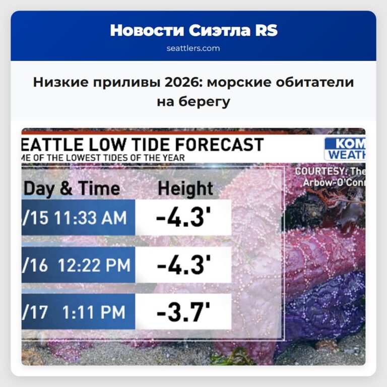 Низкие приливы 2026 морские обитатели на берегу