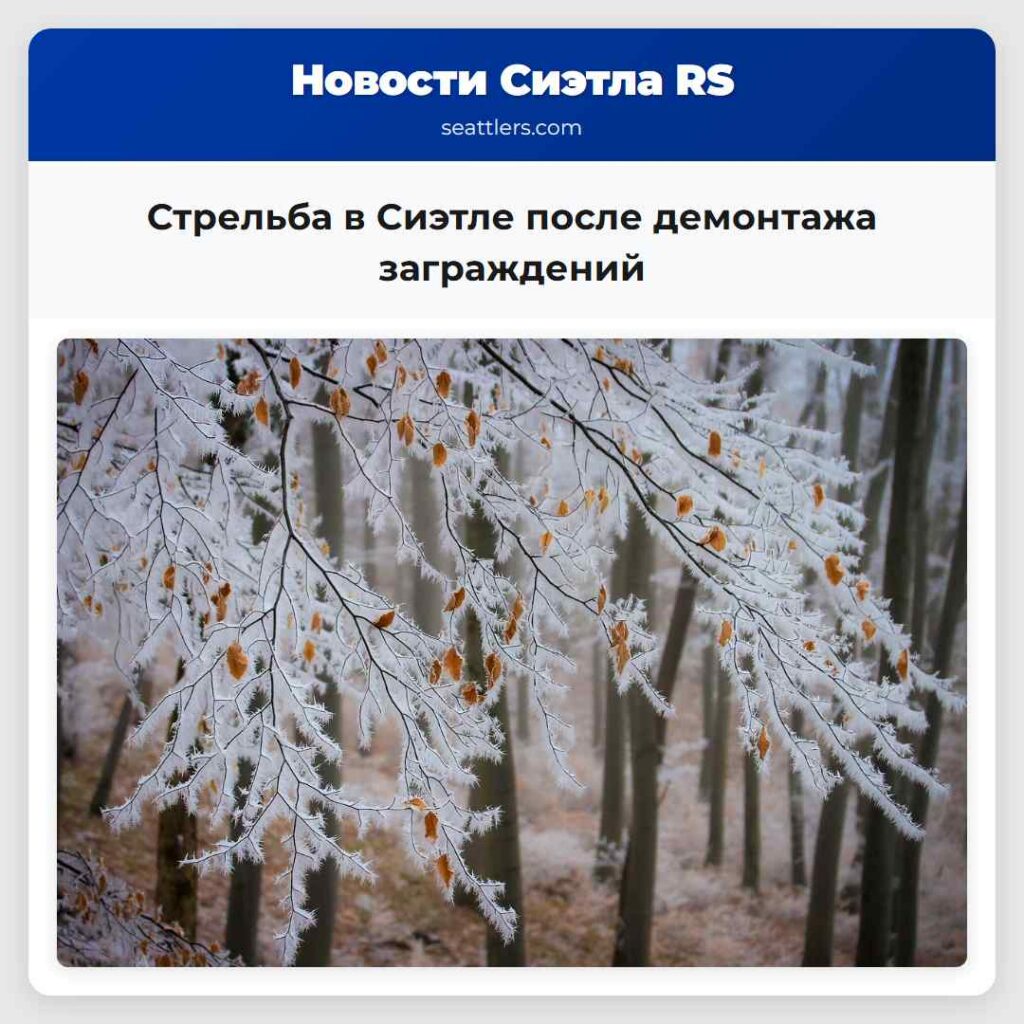 Стрельба в Сиэтле после демонтажа заграждений