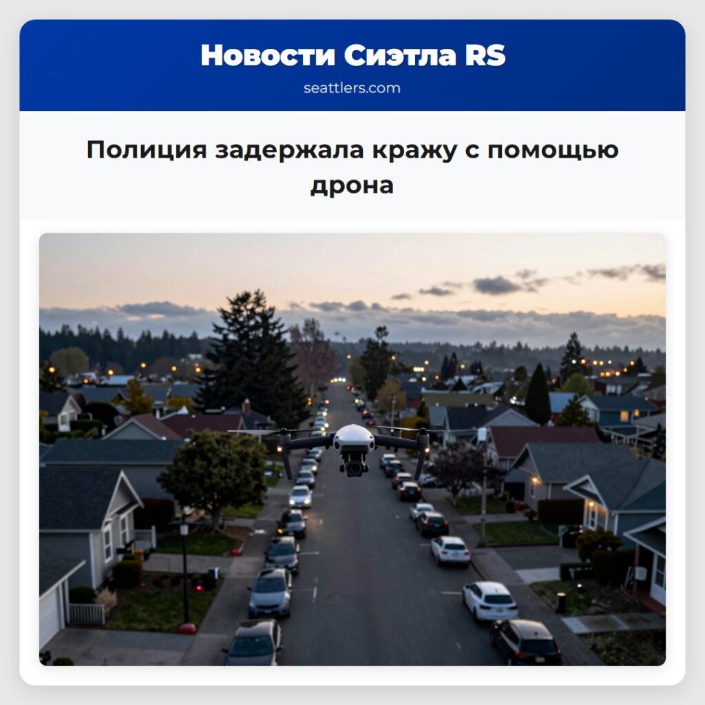 Полиция задержала кражу с помощью дрона