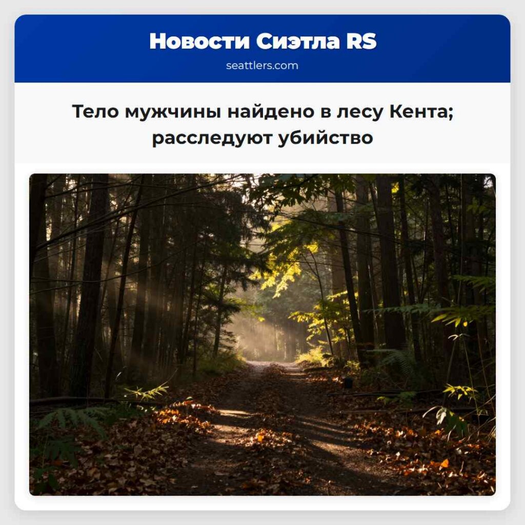 Тело мужчины найдено в лесу Кента; расследуют