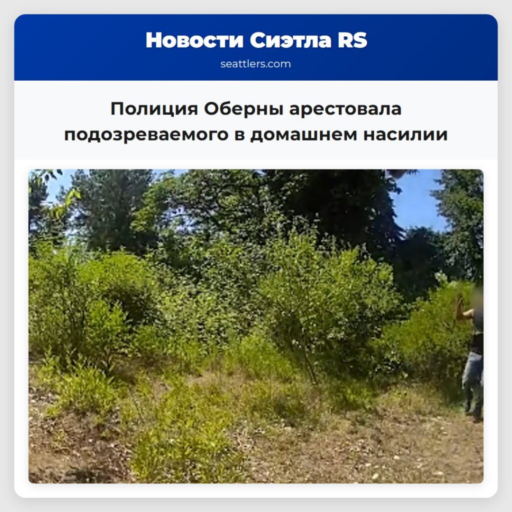 Полиция Оберны арестовала подозреваемого в